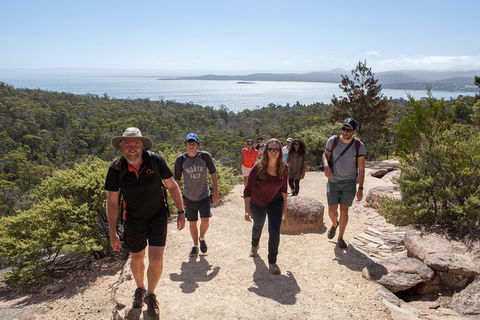 3-Day Tasmania Combo: Launceston To Hobart Active Tour Including Cradle Mountain, Freycinet National Park And Port Arthur - Pubs and Clubs 5