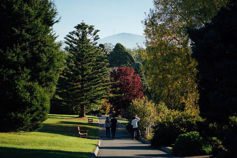 Private Royal Tasmanian Botanical Gardens Walking Tour - Pubs and Clubs 1