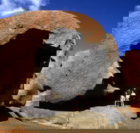 Full-Day Kangaroo Island Safari from Penneshaw - Pubs and Clubs