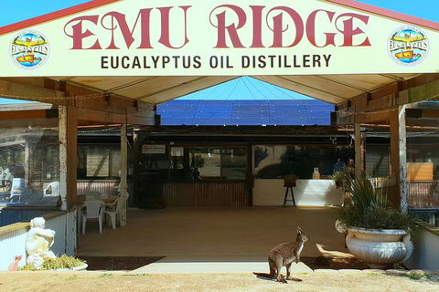 Full-Day Kangaroo Island Safari From Penneshaw - Pubs and Clubs 2