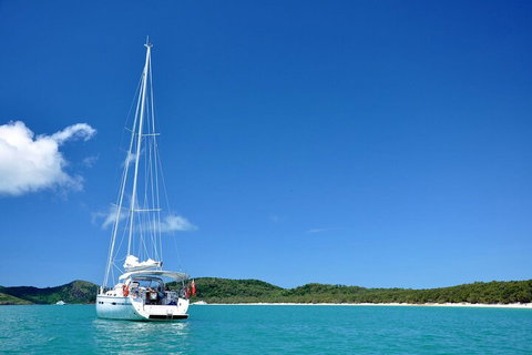 Sailing Curlew Escape On Moreton Bay - Pubs and Clubs 5