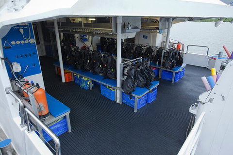 Silverswift Outer Great Barrier Reef Dive And Snorkel Cruise From Cairns - Go Out 0