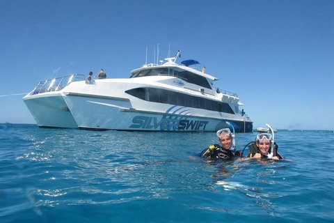 Silverswift Outer Great Barrier Reef Dive And Snorkel Cruise From Cairns - Go Out 4