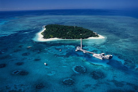 Green Island Day Trip Including Seawalker Helmet Dive COMBO - Pubs and Clubs 5