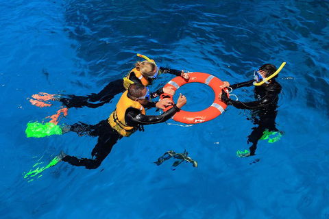 Great Barrier Reef Adventure From Cairns - Go Out 3