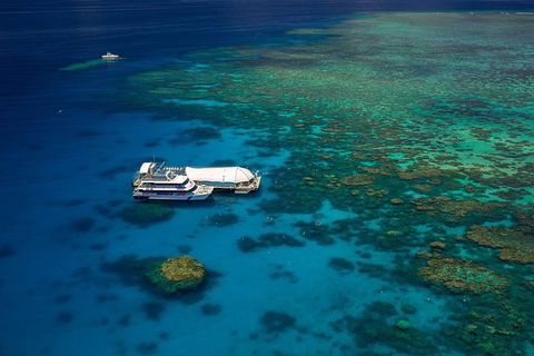 Great Barrier Reef Adventure From Cairns - Go Out 4