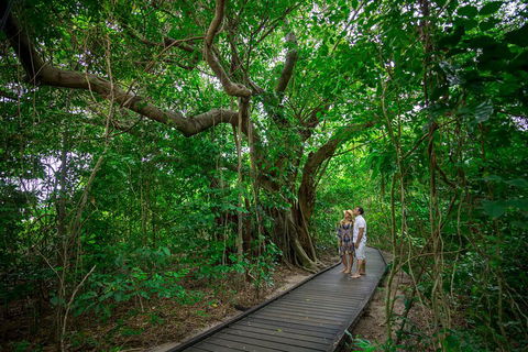 Green Island Eco Adventure From Cairns - Go Out 0