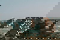 Half-Day or Full-Day Tour with Private Guide from Melbourne