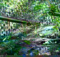 Double Pack-Ancient Rainforest and Waterfalls - Pubs and Clubs