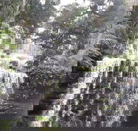 6-Day Hearty Tasmania Tour Tasmania in a Circle - Pubs and Clubs