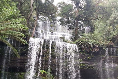 6-Day Hearty Tasmania Tour (Tasmania In A Circle) - Pubs and Clubs 0