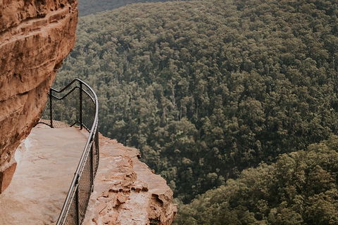 Private Blue Mountains And Wildlife Park Tour From Sydney With Barbecue Lunch - Pubs and Clubs 5