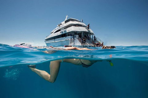 3 Day Great Barrier Reef, Daintree Rainforest And Outback Chillagoe Tour - Go Out 0