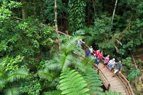 3 Day Great Barrier Reef, Daintree Rainforest And Outback Chillagoe Tour - Go Out 2