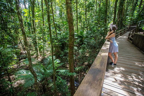 3 Day Great Barrier Reef, Daintree Rainforest And Outback Chillagoe Tour - Go Out 3