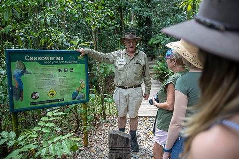 2 Day Daintree Rainforest, Cape Tribulation And Outback Chillagoe Tour - Go Out 5