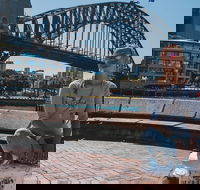 The Rocks  Darling Harbour With A Local Private  Personalized - Pubs and Clubs