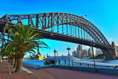 The Rocks & Darling Harbour With A Local: Private & Personalized - Pubs and Clubs 2