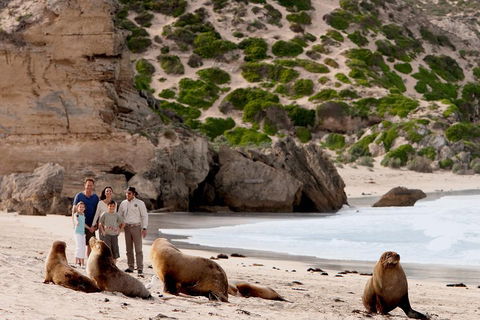 Kangaroo Island Scenic Trail Tour - Pubs and Clubs 5