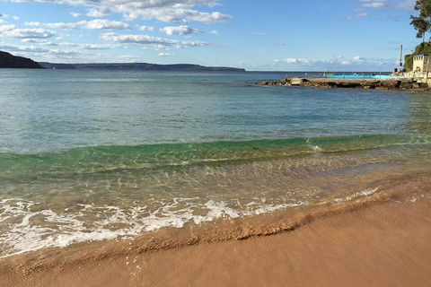 Small-Group Sydney's Northern Beaches And Ku-ring-gai National Park Bus Tour - Pubs and Clubs 1