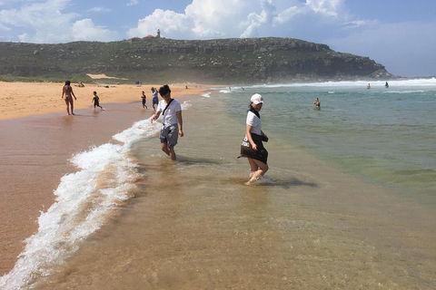 Small-Group Sydney's Northern Beaches And Ku-ring-gai National Park Bus Tour - Pubs and Clubs 5