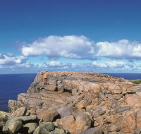 4 Day Tour Albany Margaret River Valley of the Giants TreeTop Walk from Perth - Pubs and Clubs