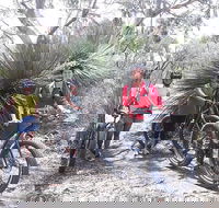 2 Hour Bike Tour in Kangaroo Island - Pubs and Clubs