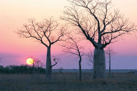 8-Day Outback Experience From Queensland - Pubs and Clubs 5