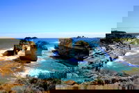 Great Ocean Road Small-Group Ecotour from Melbourne