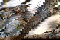 Great Ocean Road Sunset Tour from Melbourne