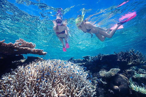 Great Barrier Reef Scenic Helicopter Tour And Cruise From Cairns - Go Out 3