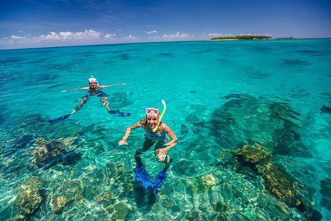 Fly To Green Island - Cruise Return - Go Out 4