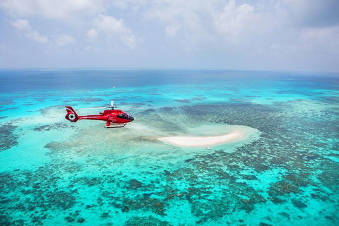 Ultimate Great Barrier Reef And Rainforest 45-minute Helicopter Tour - Go Out 3