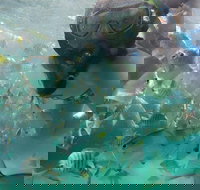 2-Day Moreton Island 4WD Camping Tour from Brisbane - Go Out