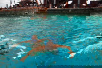 Moreton Island Snorkel and Sandboarding 4WD Day Trip from Brisbane