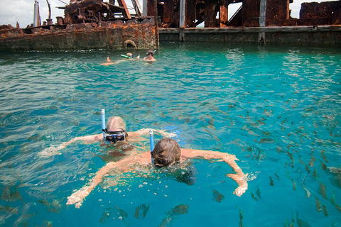 Moreton Island Snorkel And Sandboarding 4WD Day Trip From Brisbane - Go Out 0