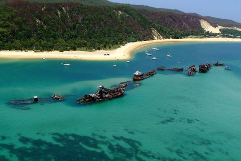 Moreton Island Snorkel And Sandboarding 4WD Day Trip From Brisbane - Go Out 1