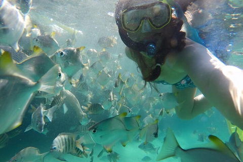 Moreton Island Snorkel And Sandboarding 4WD Day Trip From Brisbane - Go Out 3