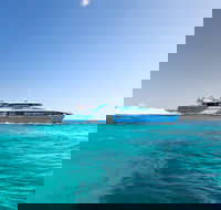 Rottnest Island Bike Snorkel  Ferry Package from Fremantle - Pubs and Clubs