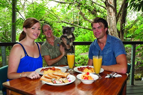 Breakfast With The Koalas At Hartley's Crocodile Park From Cairns Or Palm Cove - Pubs and Clubs 0