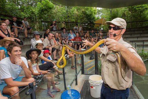 Breakfast With The Koalas At Hartley's Crocodile Park From Cairns Or Palm Cove - Pubs and Clubs 2