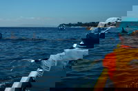 Book Viator Accommodation Vacations Pubs and Clubs Pubs and Clubs