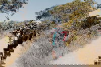 Self-Guided Point Nepean National Park Bike Hire, Mornington