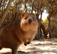 Pinnacles  Rottnest Island Scenic Air  Ground Tour - Pubs and Clubs