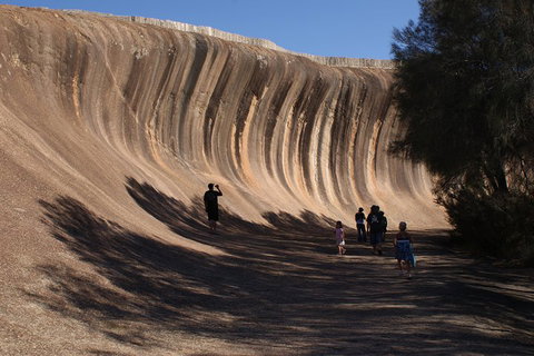 Wave Rock, Pinnacles And Rottnest One Day Aeroplane Tour - Go Out 4