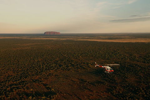 Helicopter Scenic: Lizard Safari - Pubs and Clubs 4