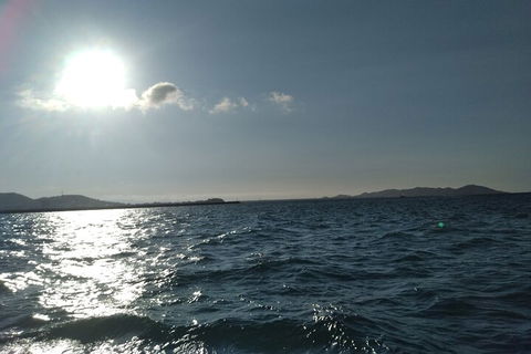 Townsville Small Group Early Morning Sailing Cruise Boat Tour Charter Hire - Pubs and Clubs 4