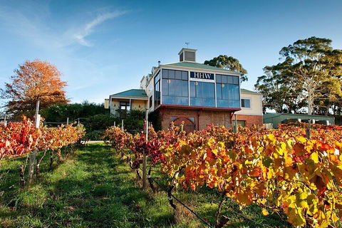 Adelaide Hills Food, Wine, Cheese, & Chocolate - Private Day Tour - Pubs and Clubs 3