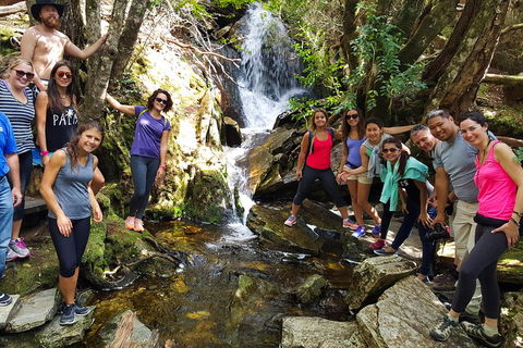 7-Day Super Value Tour Of Tasmania: Explore Tasmania's West And East Coasts - Pubs and Clubs 2