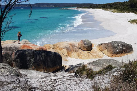 2-Day Tas East Coast Escape Tour Including Bay Of Fires, Wineglass Bay & Devils - Pubs and Clubs 4